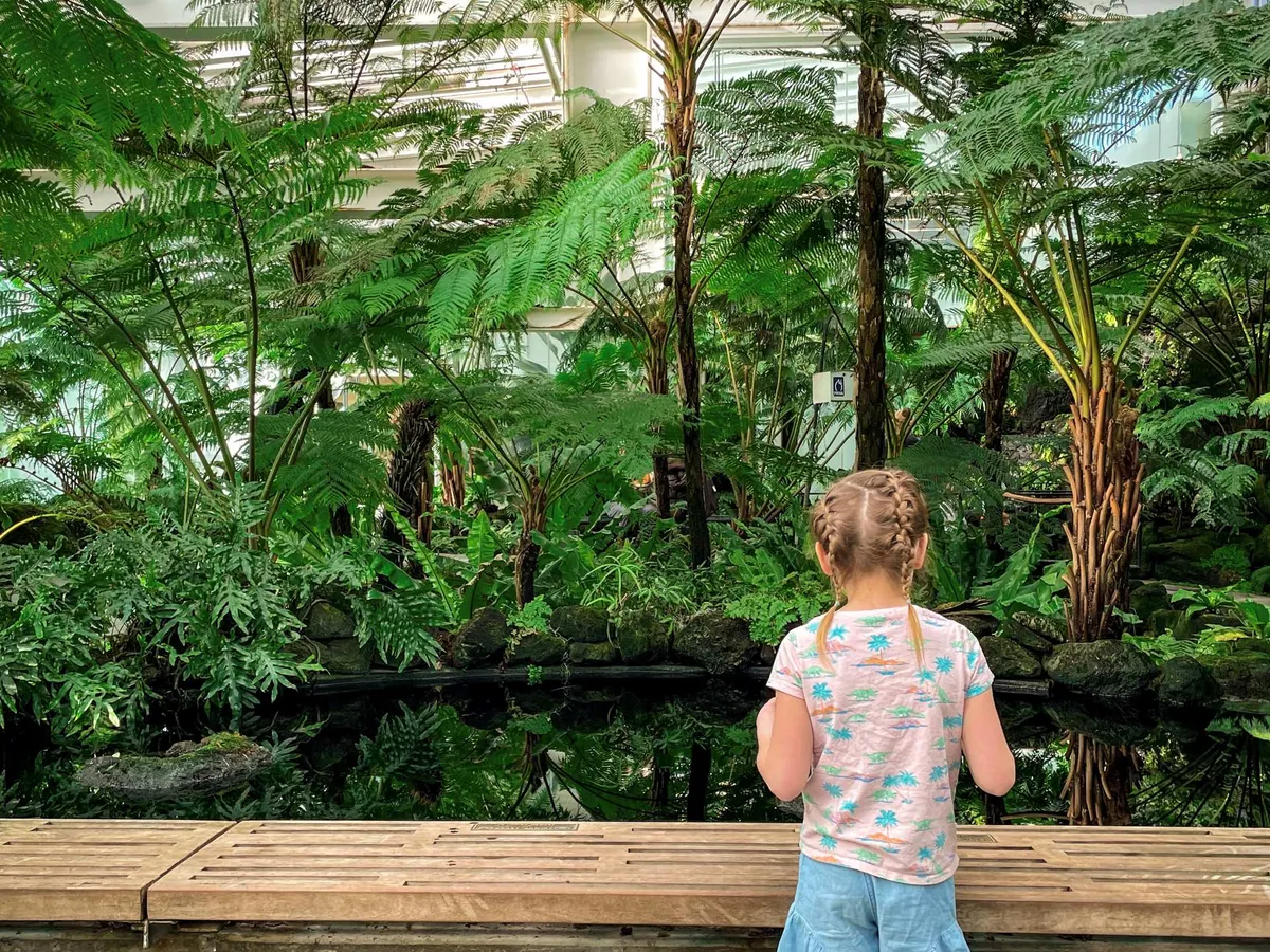 A child looking at a recreated forest ecosystem exhibit