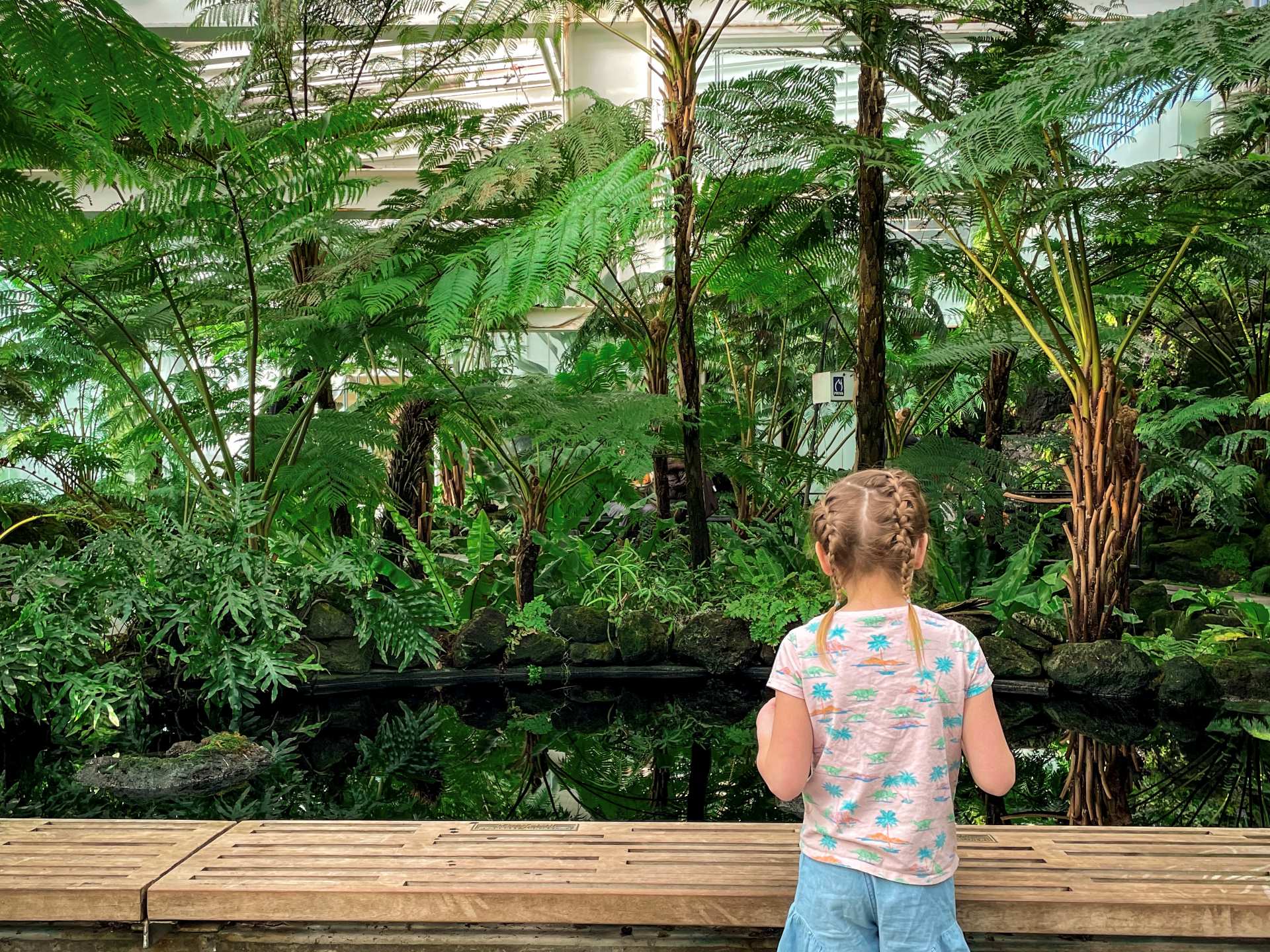 A child looking at a recreated forest ecosystem exhibit