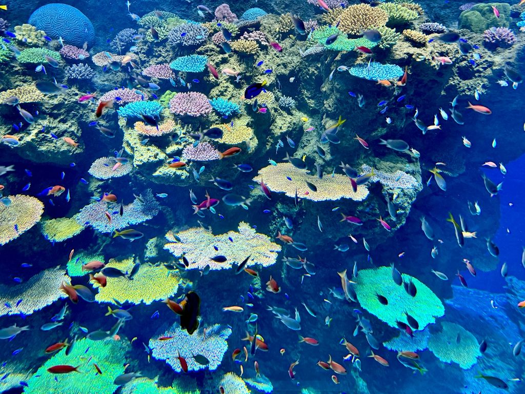 Rethinking the Zoo