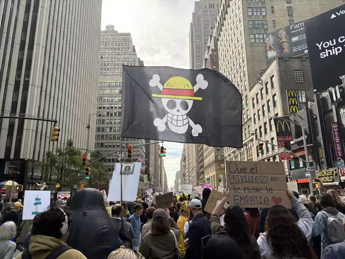 Straw Hat flag flown at protests