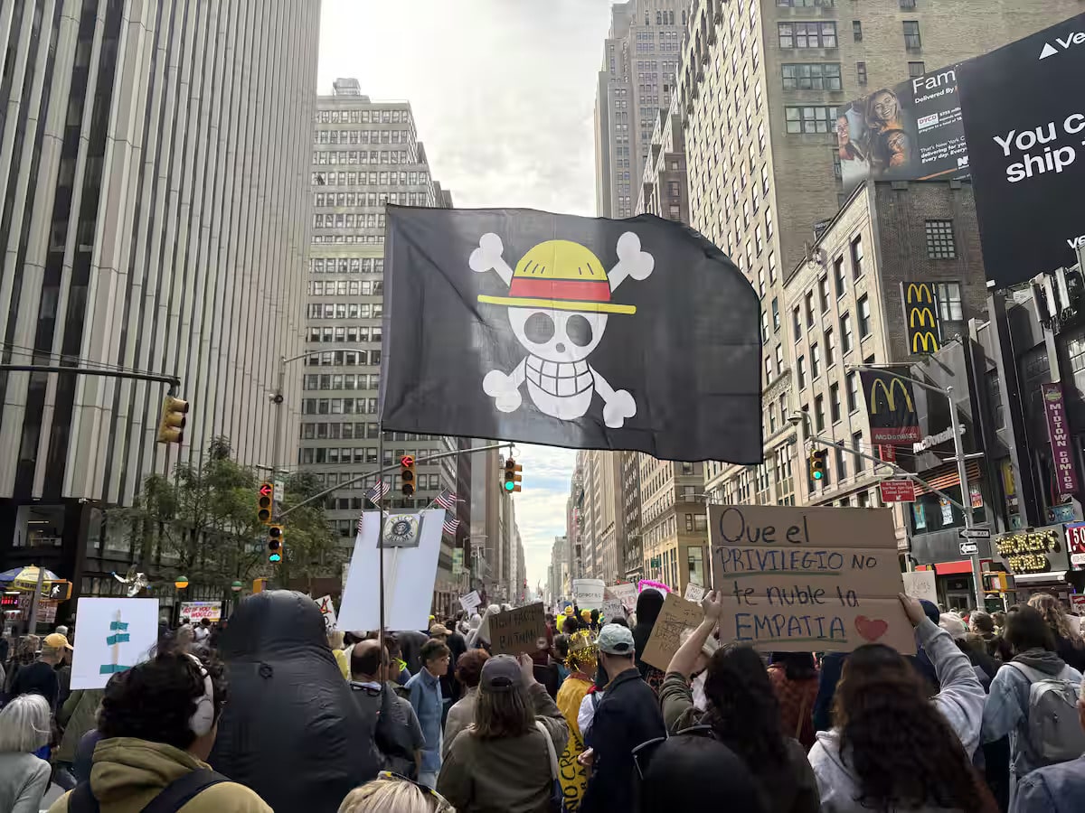 Straw Hat flag flown at protests